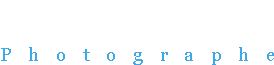 Daniel Pierot - Logo